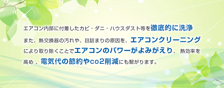 エアコン内部に付着したカビ・ダニ・ハウスダスト等を徹底的に洗浄・クリーニングすることで、ご家族の健康を守り、アレルギーや花粉症から快適に暮らせます。また、熱交換器の汚れや、目詰まりの原因を、エアコンクリーニングにより取り除くことでエアコンのパワーがよみがえり、 熱効率を高め 、電気代の節約に繋がります。